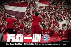 欧博官网平台-拜仁慕尼黑你甚至可以踢球图片