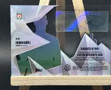 欧博abg登录入口-乌拉圭超级前锋